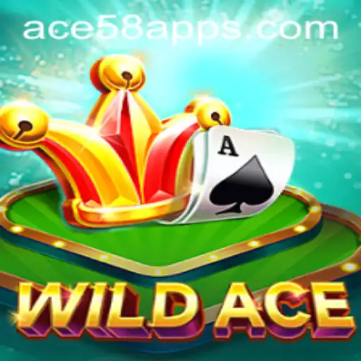 Exploring WildAce: The Thrilling Adventure Awaits with ACE58